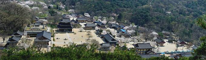 金山寺.jpg