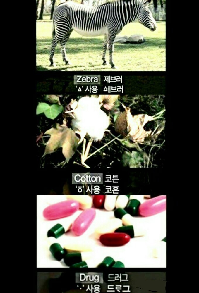 PicsArt_10-10-05.34.24.jpg
