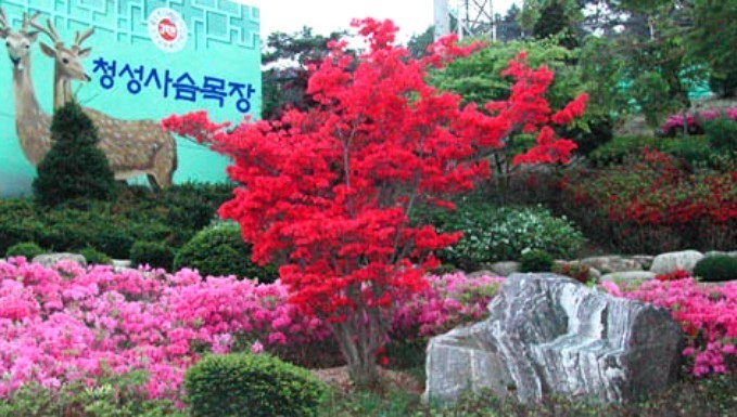 PicsArt_11-11-09.47.24.jpg